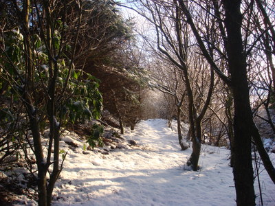 Winter, Orkney